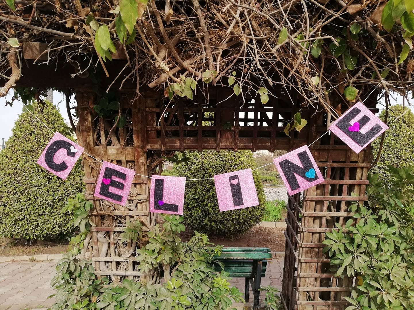 Celine store Cover